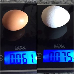 Differenza di peso fra uova apparentemente simili